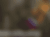 Screenshot 2023-07-16 at 7.52.45 PM.png