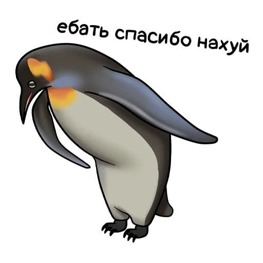 1659368177260352666.jpg