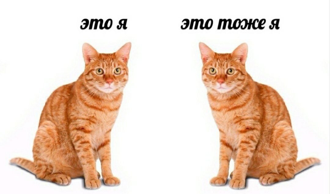 ZoTuNSZE848.jpg