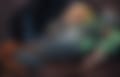 the_2.jpg