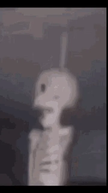 rotating-skull.gif