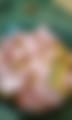 IMG_20250910_121043_551~3.jpg