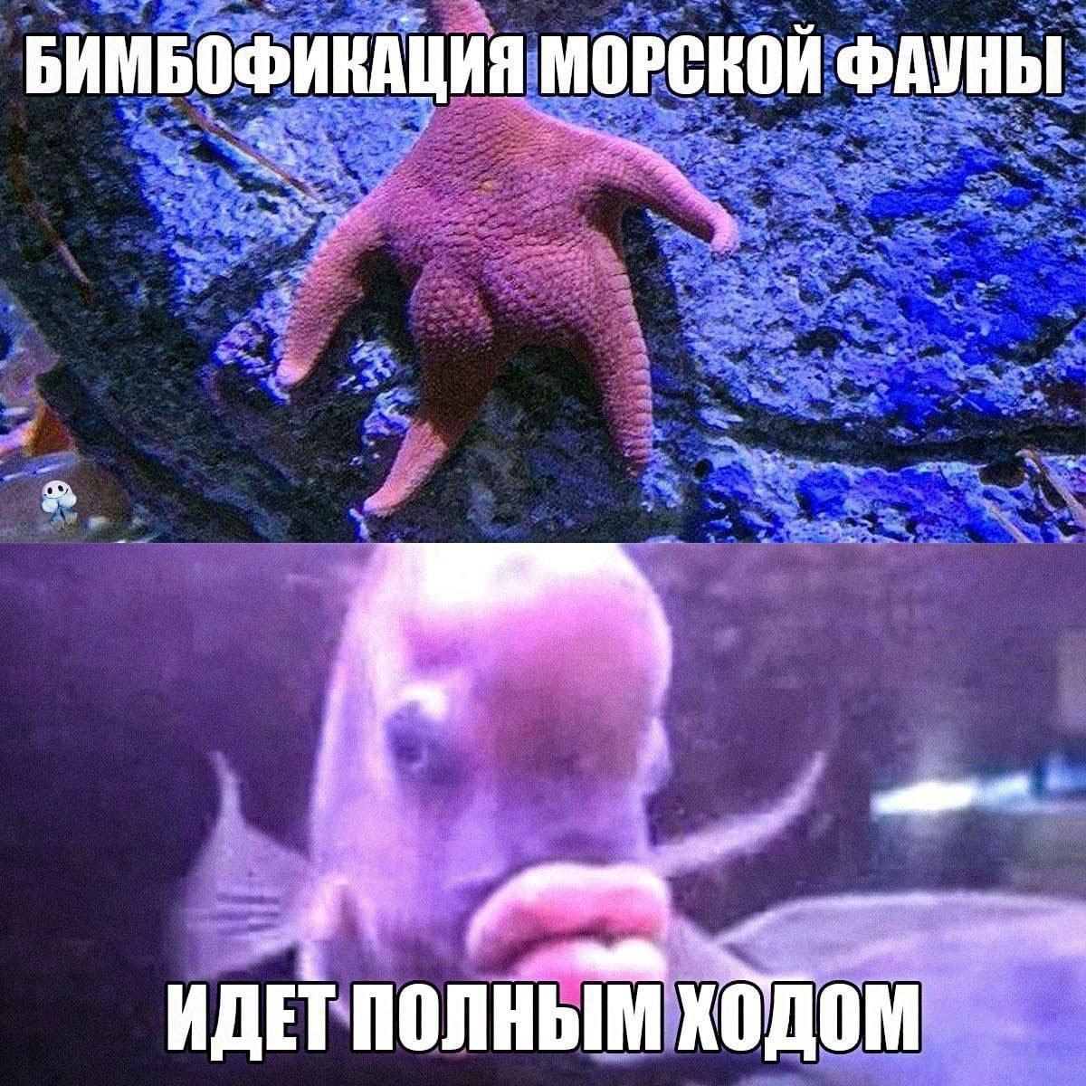 G2cS3gHWwAAOeO9.jpg