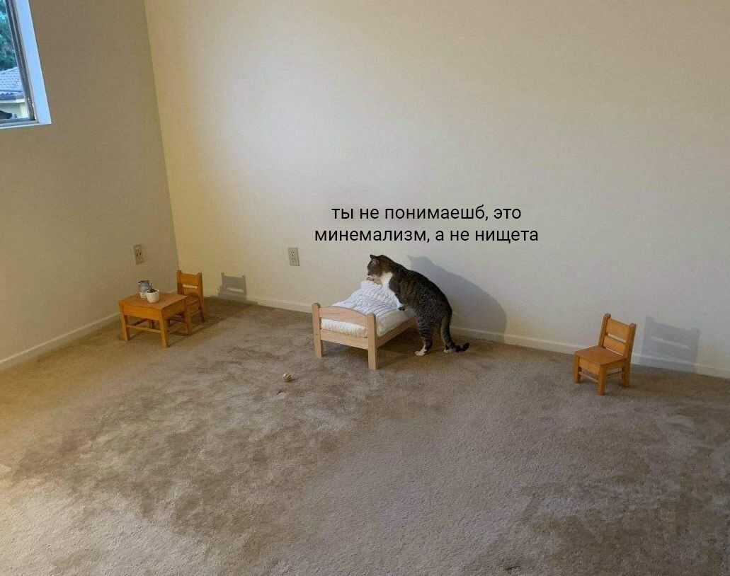 5262502932937552023.jpg