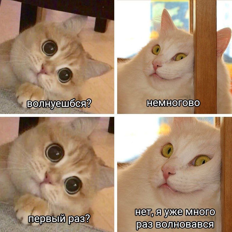 1000009319.jpg