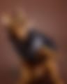 559894407_1131080502479814_2900361663726299468_n.jpg