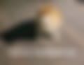 IMG_1303.jpeg