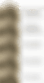 18f7b358d9895ebf99c24ab19hd.png