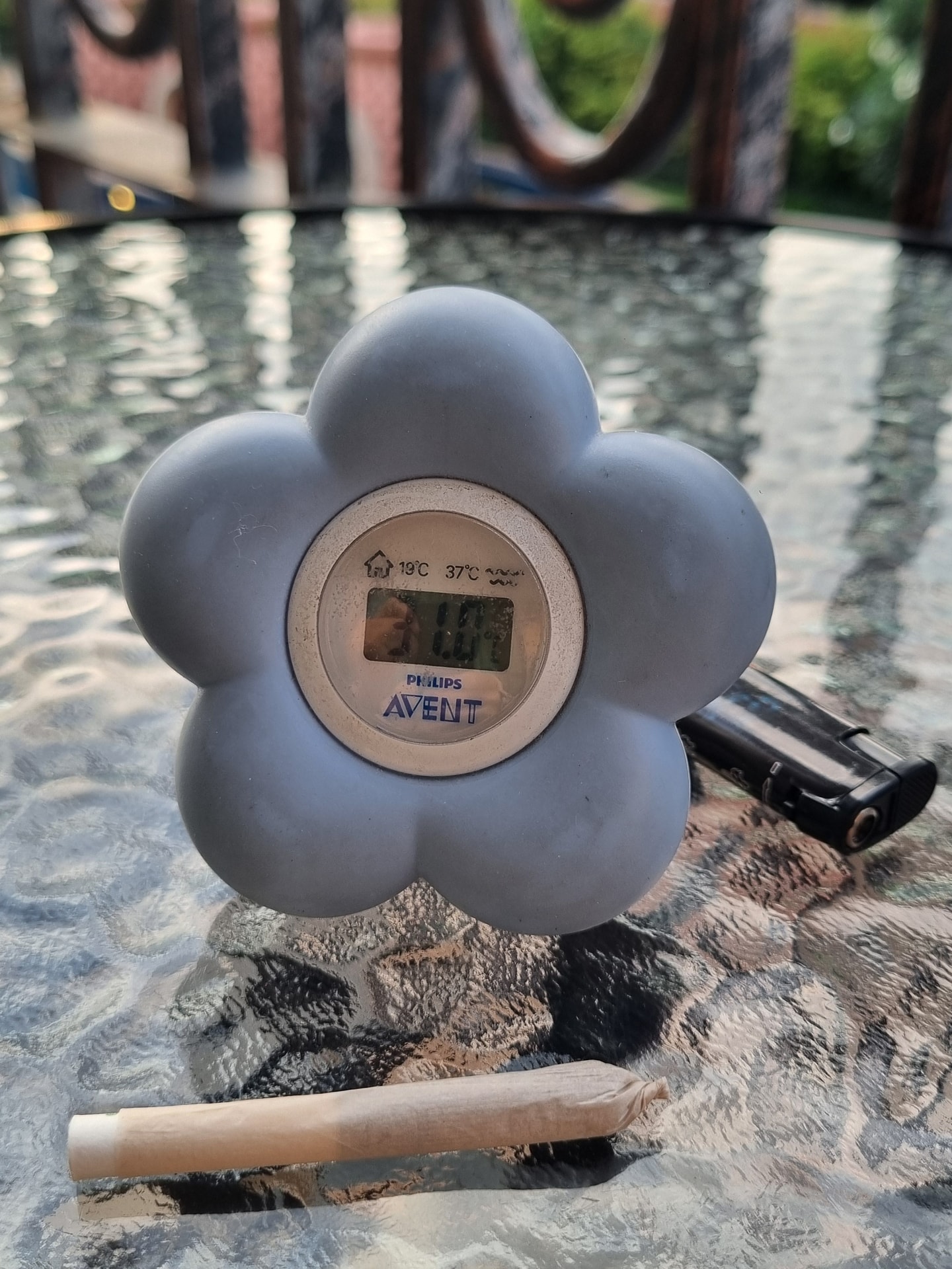 1000037144.jpg