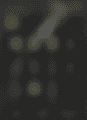 1000030468.png