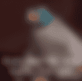 lvcsvoowneke1.png