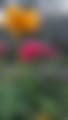 PXL_20250517_192319443.jpg