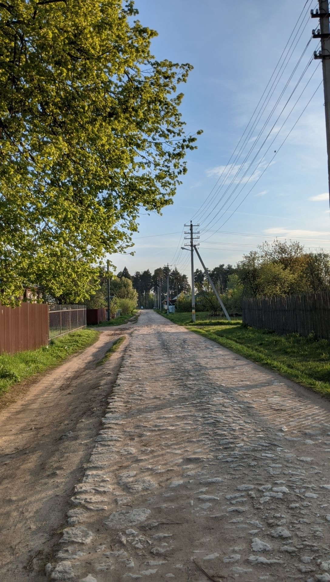PXL_20250517_185558995.jpg