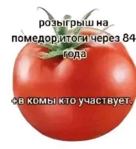 IMG_6479.jpeg