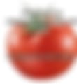 IMG_6479.jpeg