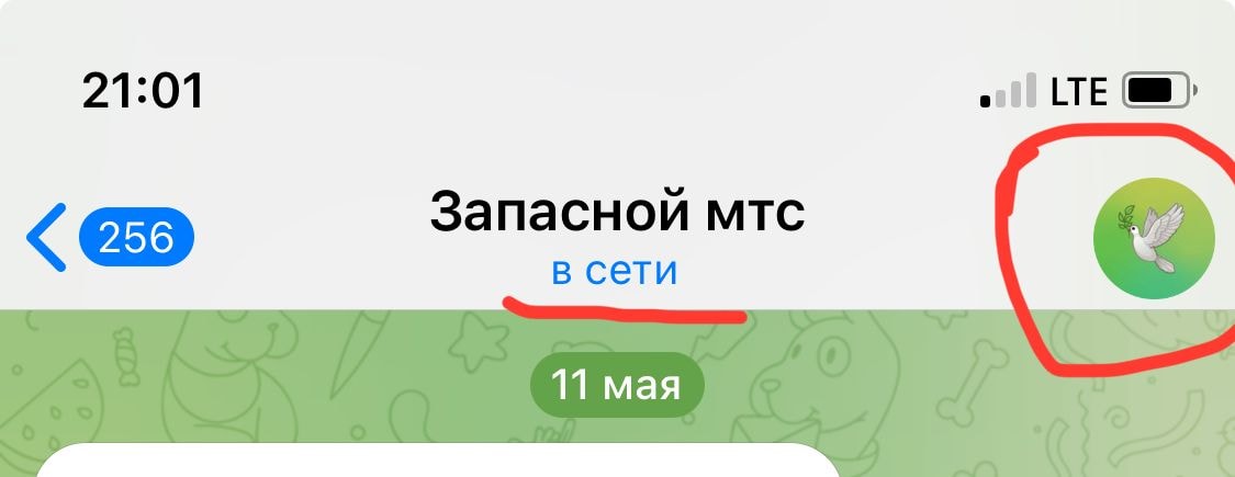 IMG_3727.jpeg