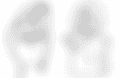 images.png