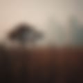 17001676755221.jpg