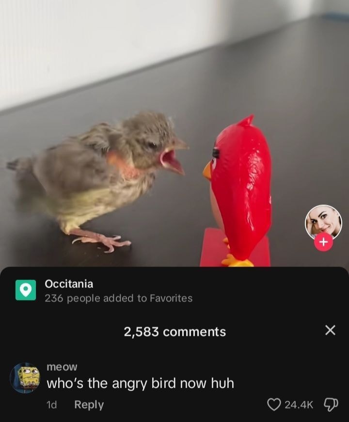 G0ysBAtWkAADwyv.jpg