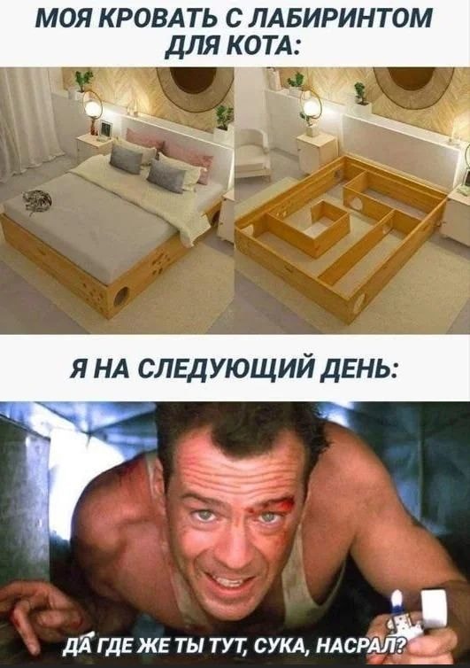 RDT_20250624_0545532619626932817679864-01.jpeg
