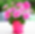 96f4bfda-c79e-4702-a95e-a7e42f0cc77b.jpeg