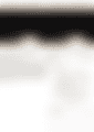 41.png