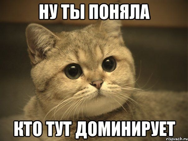 1000009333.jpg