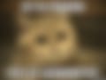 1000009333.jpg