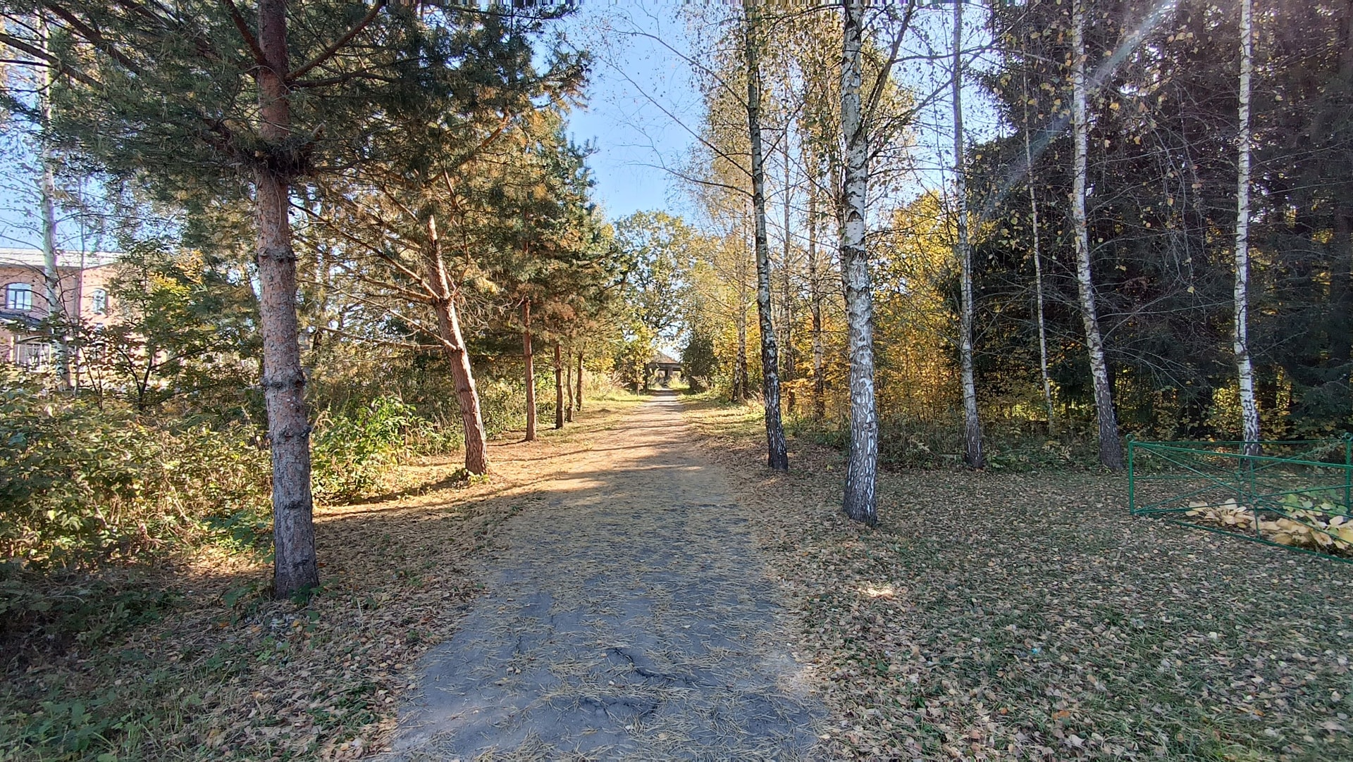 IMG_20241001_114758.jpg