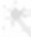 IMG-20250801-WA0010.png