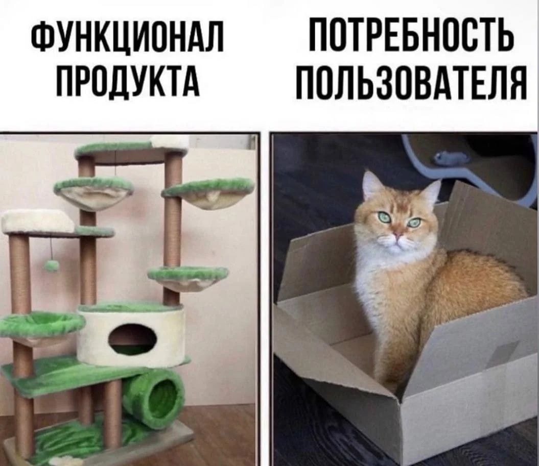 RDT_20250702_2039155453899771057700950-01.jpeg