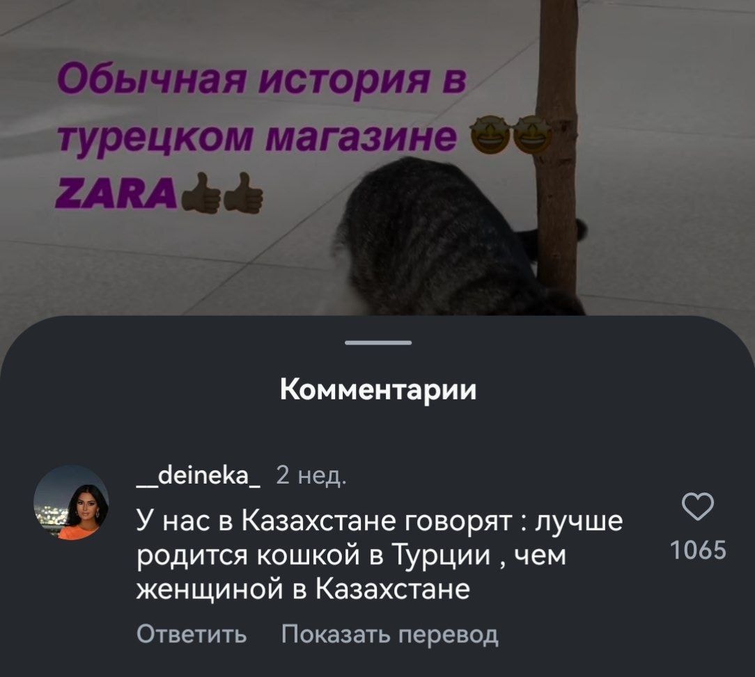 1000009487.jpg