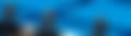 IMG_0895.jpeg