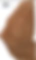 1000007494.jpg
