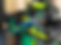 IMG_0307.jpeg