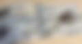 IMG_0324.jpeg