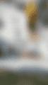 scale_1200.png