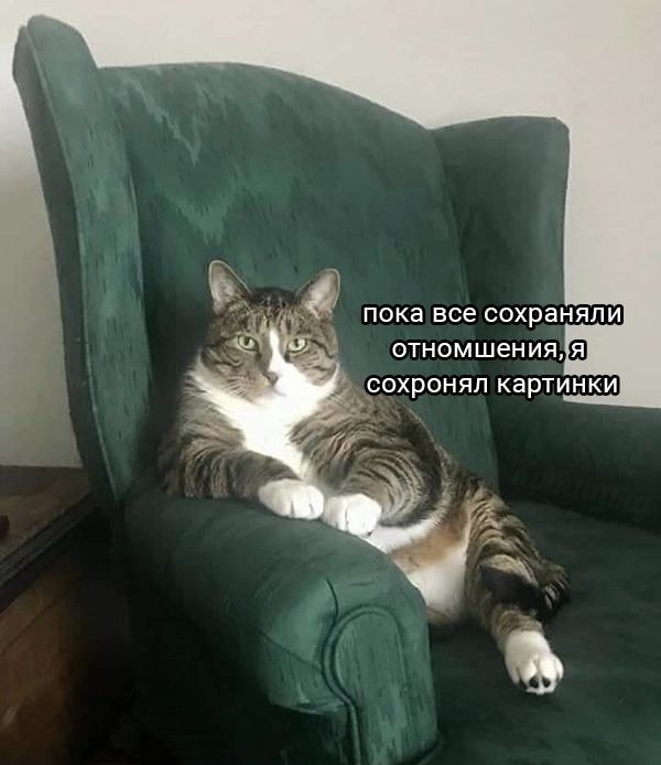 sohranyal1.jpg