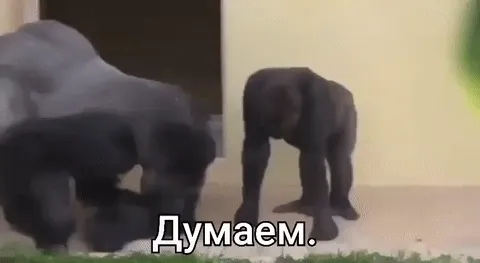 думаем.gif