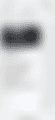 IMG_0136.png