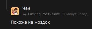 похоже на моздок 2.JPG