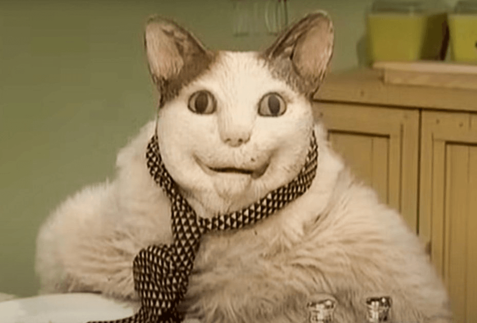 blob