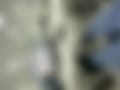 IMG_1984.jpeg
