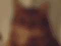blob