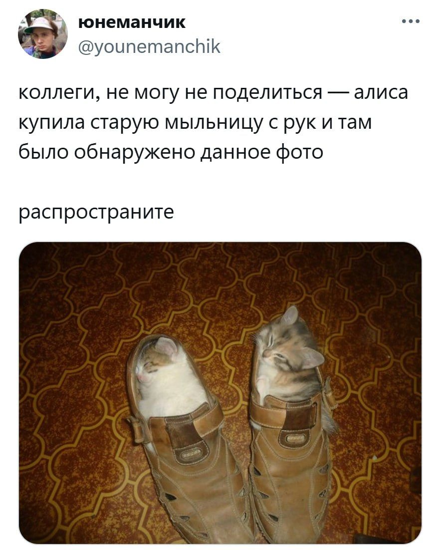 1000009387.jpg