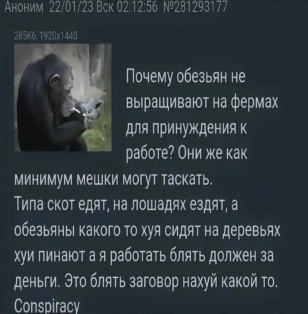 1000041852.jpg
