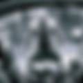 17004762336182.webp
