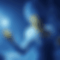 17004257018740.png