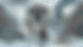 16985721450341.png