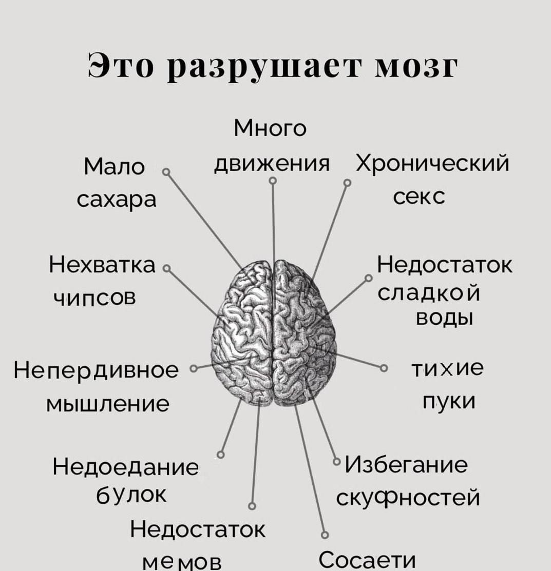 1000009311.jpg